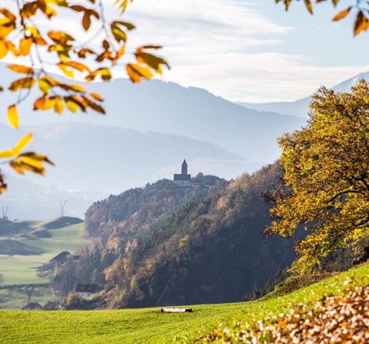 Sul Sentiero del Castagno